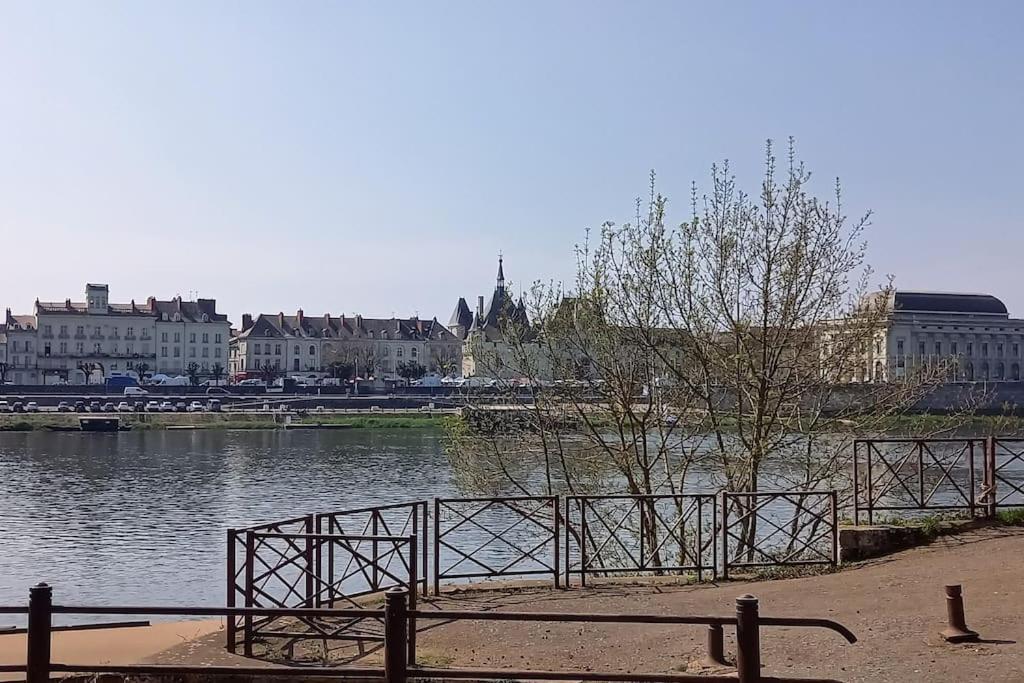 Les Marronniers Appartement Centre Saumur Bord De Loire Esterno foto