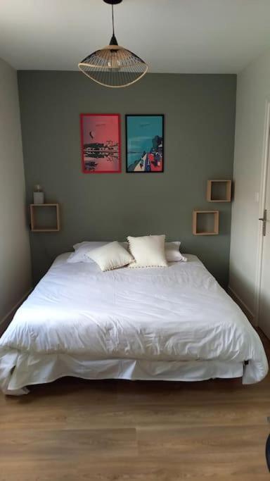 Les Marronniers Appartement Centre Saumur Bord De Loire Esterno foto